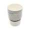 12 Packs: 10 ct. (120 total) 8oz. Party Snack Cups by Celebrate It™